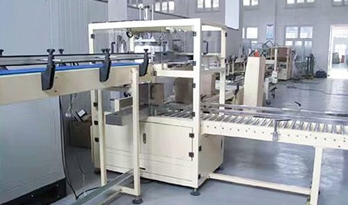 ZX-05 Drop-Type Carton Packer