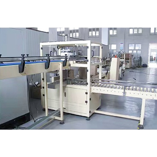 ZX-05 Drop-Type Carton Packer